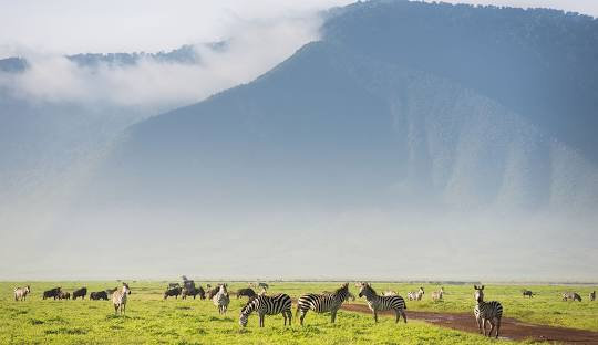 Ngorongoro Crater